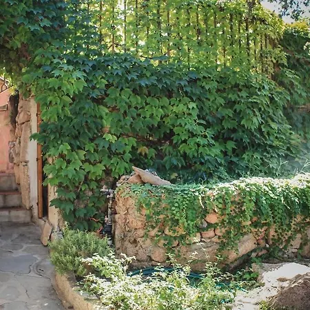 Didi פורטו צ'רבו