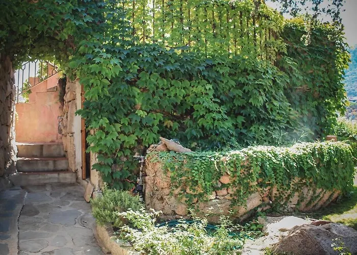 Didi פורטו צ'רבו