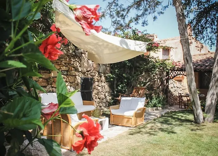 Didi פורטו צ'רבו